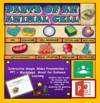 Parts Of An Animal Cell |3rd-8th| Interactive Google Slides + Powerpoint + Worksheet