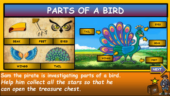 Parts of a bird: |1st-5th |  Interactive Google Slides + Powerpoint + 3 Worksheets