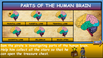 Parts of the Human Brain: |3rd-8th| Google Slides+ Powerpoint Version. Brain Anatomy + Google Slides