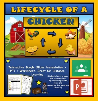 The Life Cycle of a Chicken |1st-6th|  Interactive Google Slides + Powerpoint Version + 2 worksheets