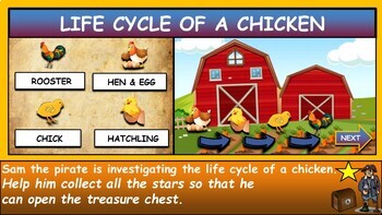 The Life Cycle of a Chicken |1st-6th|  Interactive Google Slides + Powerpoint Version + 2 worksheets