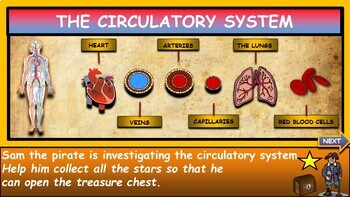 The Circulatory System |2nd-7th| Interactive Google Slides + Powerpoint Version + Worksheet
