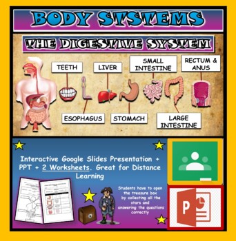 The Digestive System|3rd-8th| Interactive Google Slides + Powerpoint version + 2 worksheets