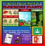 Flowering & Non-Flowering Plants: |3rd-8th| Google Slides, Powerpoint Version + Worksheet
