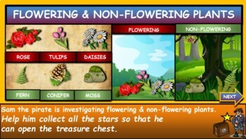 Flowering & Non-Flowering Plants: |3rd-8th| Google Slides, Powerpoint Version + Worksheet