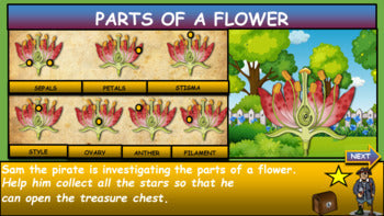 Parts of a Flower |5th-9th| Interactive Google Slides + Powerpoint + 4 Worksheets