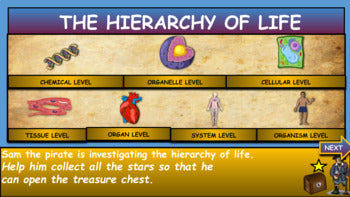 The Hierarchy Of Life |3rd-8th| Interactive Google Slides + Quiz + Powerpoint + Printable Worksheet