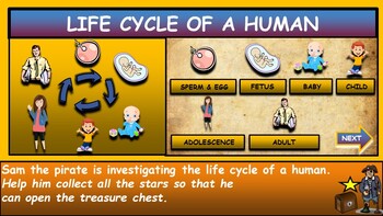 The Life Cycle of a Human |2nd-6th| Interactive Google Slides + PPT + Worksheet