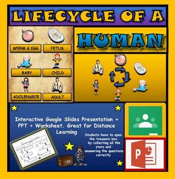 The Life Cycle of a Human |2nd-6th| Interactive Google Slides + PPT + Worksheet