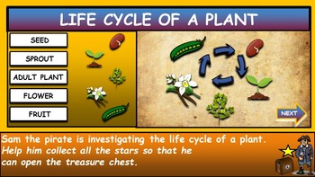 The Life Cycle of a Plant: Interactive Google Slides + Powerpoint Version + 2 worksheets