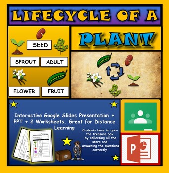The Life Cycle of a Plant: Interactive Google Slides + Powerpoint Version + 2 worksheets