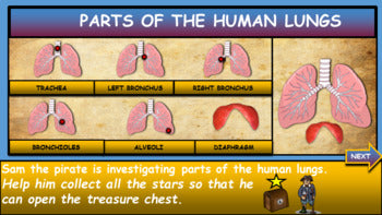 Parts of the Human Lungs: |4th-9th|  Interactive Google Slides + Powerpoint + 2 Worksheets
