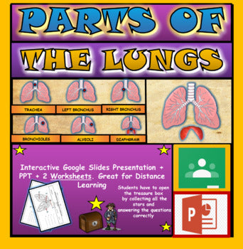 Parts of the Human Lungs: |4th-9th|  Interactive Google Slides + Powerpoint + 2 Worksheets