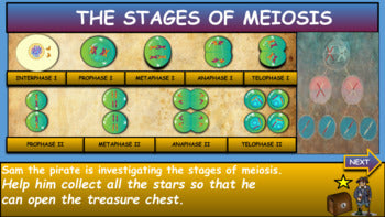 Stages Of Meiosis. |5th-9th| Cell Division & Reproduction: Interactive Powerpoint + Google Slides Version
