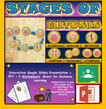 Stages of Mitosis: |5th-9th| Interactive Google Slides + Powerpoint+ 2 Worksheets