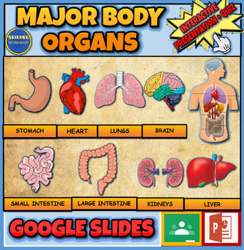Major Body Organs |3rd-7th| Interactive Google Slides + Powerpoint Version + Printable Worksheet
