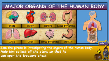 Major Body Organs |3rd-7th| Interactive Google Slides + Powerpoint Version + Printable Worksheet