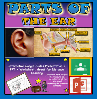 Parts of the Human Ear |4th-8th| Interactive Google Slides + Powerpoint Version + Worksheet