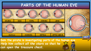 Parts of the Human Eye: |3rd - 8th| Interactive Google Slides + Powerpoint Version