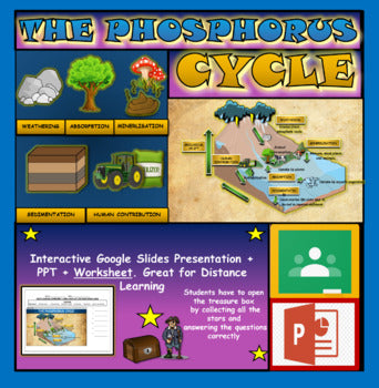 The Phosphorus Cycle: |6th-10th| Interactive Google Slides + Printable Worksheet