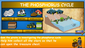 The Phosphorus Cycle: |6th-10th| Interactive Google Slides + Printable Worksheet