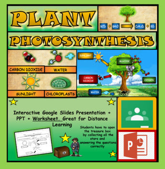 Plant Photosynthesis: |2nd-7th| Interactive Google Slides + Powerpoint Version + Worksheet