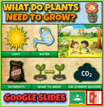 What Do Plants Need To Grow?:|2nd-5th| Interactive Powerpoint + Google Slides + Worksheet