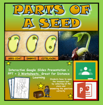 Parts of a Seed |3rd-8th| Interactive Google Slides + Powerpoint Version + 3 Worksheets