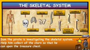 Parts of the Skeletal System|2nd-6th| Interactive Google Slides + PPT + 2 Worksheet