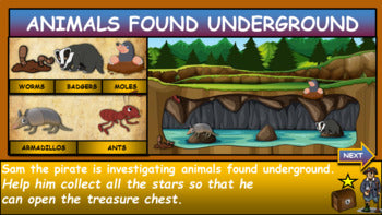 Animals found underground |1st-6th| Interactive Google Slides + PPT + Worksheet