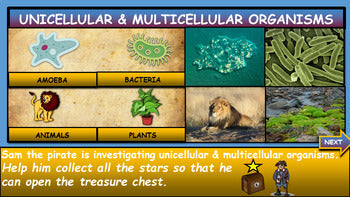 Unicellular vs Multicellular: |3rd-8th| Interactive Google Slides + Powerpoint Version + 3 Worksheets