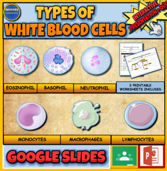 Types Of White Blood Cells|6th-10th| Interactive Google Slides + Powerpoint Version +  Printable Worksheets